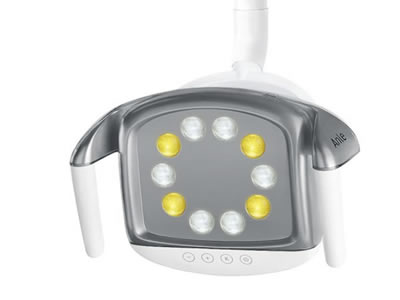 10 bulbs LED dental light